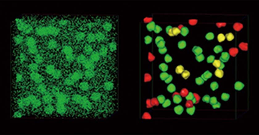 高強度かつ軽量な自動車用アルミニウム合金の開発