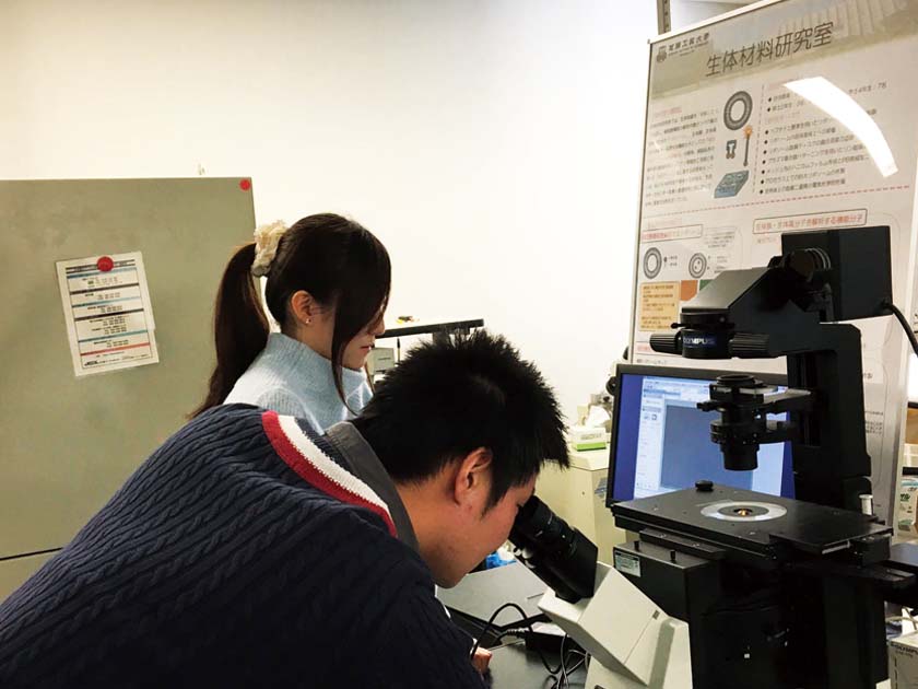 金属球殻構造体を支持体とした多細胞型人工脂質膜の創製2