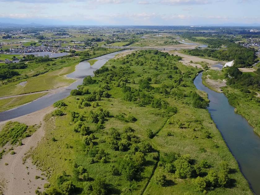 河道内樹林の動態解析1
