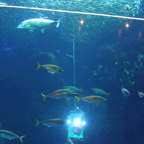 海を見る!?どこまで見る!?講座‗扉-500×500