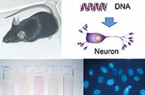 Bioscience and Engineering - Bioscience Course 01