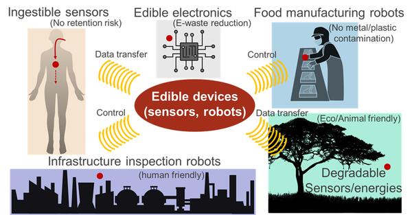 ソフトエレクトロニクス研究室