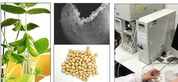 生命産業科学教育研究室