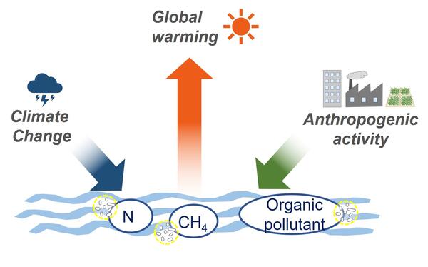 水圏生態工学研究室