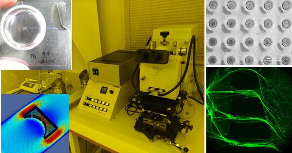 マイクロ生体システム研究室